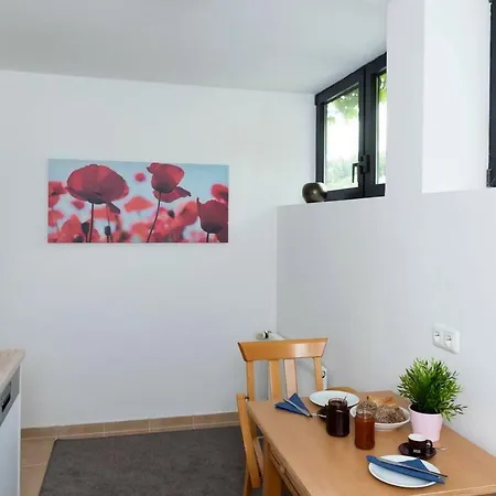 Bergblick Apartment Ober-Hambach