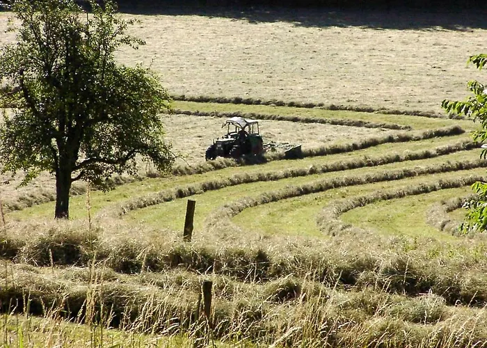 Bergblick * Ober-Hambach